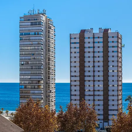 Currus Miramar Playa
